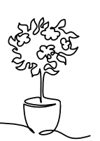 arbre Les Associations